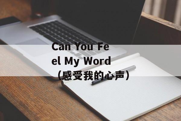 Can You Feel My Word（感受我的心声）-第1张图片-居家生活