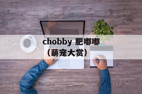chobby 肥嘟嘟（萌宠大赏）-第1张图片-居家生活