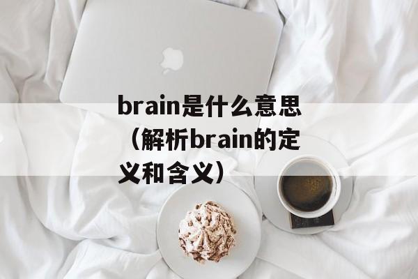 brain是什么意思（解析brain的定义和含义）-第1张图片-居家生活