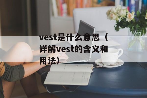 vest是什么意思（详解vest的含义和用法）-第1张图片-居家生活