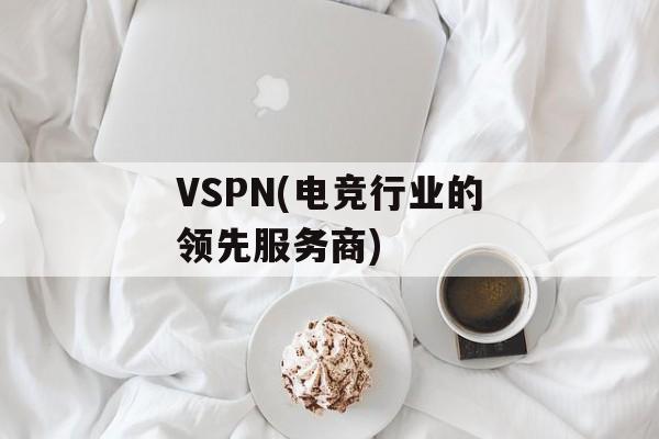 VSPN(电竞行业的领先服务商)-第1张图片-居家生活