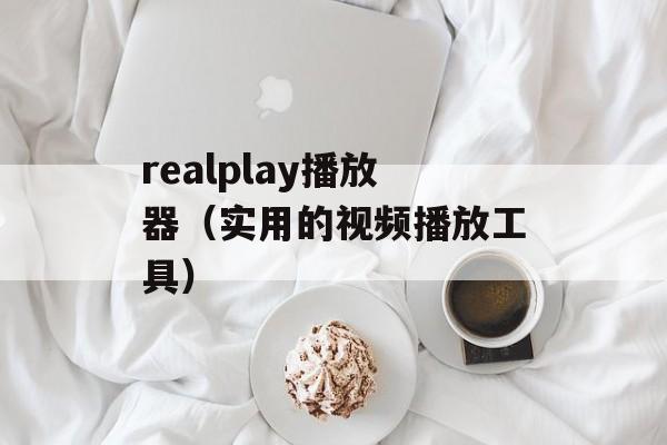 realplay播放器（实用的视频播放工具）-第1张图片-居家生活