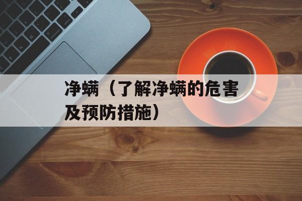 净螨（了解净螨的危害及预防措施）-第1张图片-居家生活