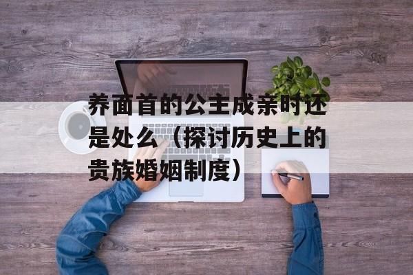 养面首的公主成亲时还是处么（探讨历史上的贵族婚姻制度）-第1张图片-居家生活