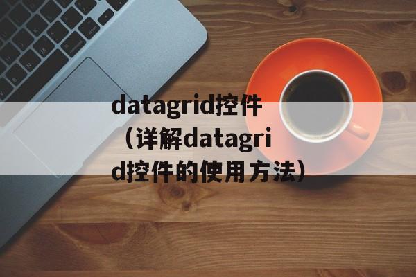 datagrid控件（详解datagrid控件的使用方法）-第1张图片-居家生活
