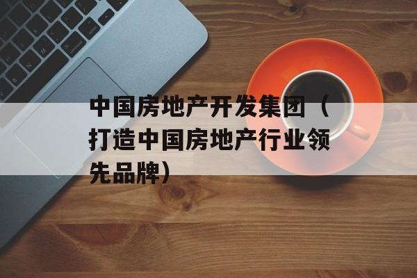 中国房地产开发集团（打造中国房地产行业领先品牌）-第1张图片-居家生活