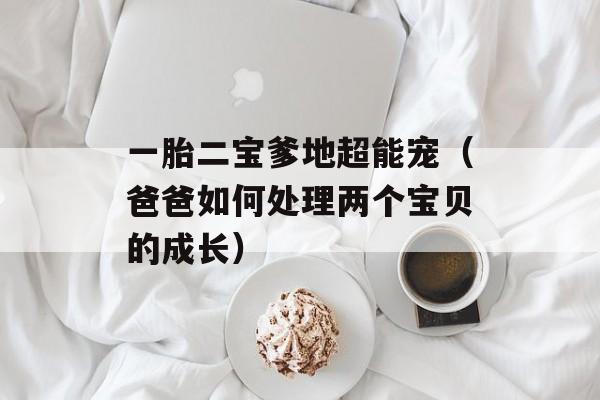 一胎二宝爹地超能宠（爸爸如何处理两个宝贝的成长）-第1张图片-居家生活