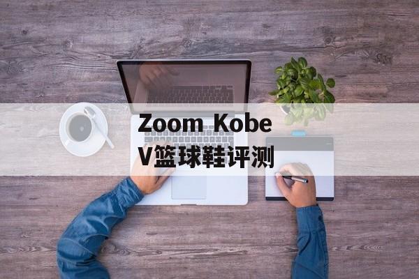 Zoom Kobe V篮球鞋评测-第1张图片-居家生活