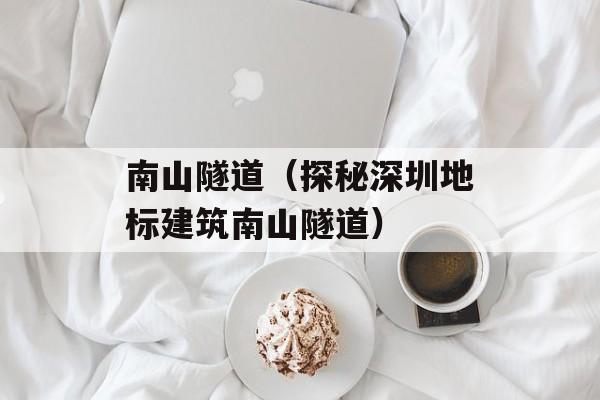 南山隧道（探秘深圳地标建筑南山隧道）-第1张图片-居家生活