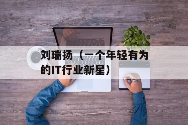 刘瑞扬（一个年轻有为的IT行业新星）-第1张图片-居家生活