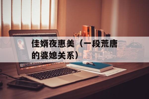 佳婿夜惠美（一段荒唐的婆媳关系）-第1张图片-居家生活