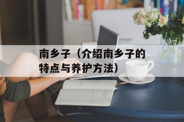 南乡子（介绍南乡子的特点与养护方法）-第1张图片-居家生活