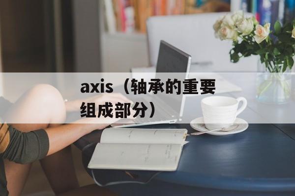 axis（轴承的重要组成部分）-第1张图片-居家生活
