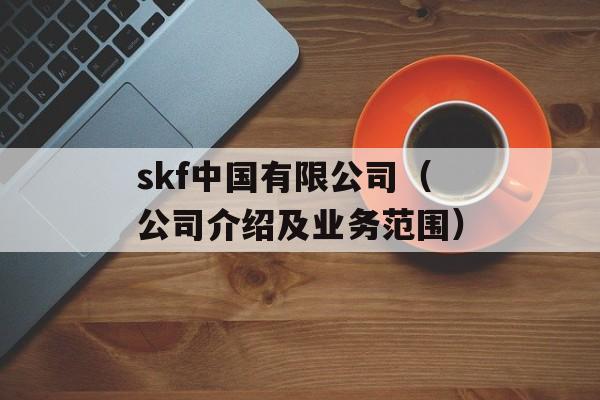 skf中国有限公司（公司介绍及业务范围）-第1张图片-居家生活