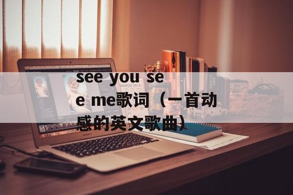 see you see me歌词（一首动感的英文歌曲）-第1张图片-居家生活
