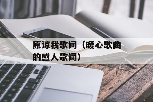 原谅我歌词（暖心歌曲的感人歌词）-第1张图片-居家生活