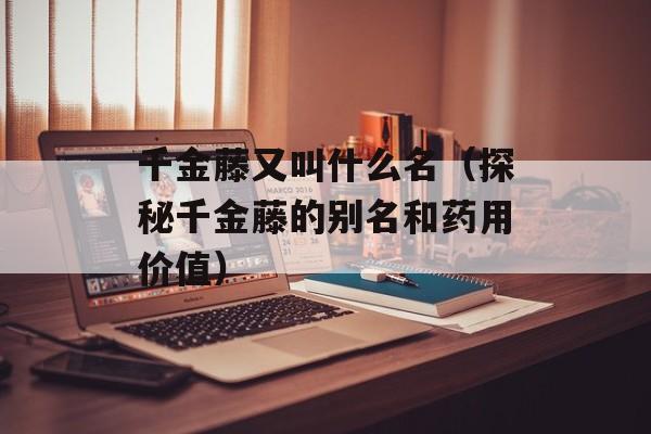千金藤又叫什么名（探秘千金藤的别名和药用价值）-第1张图片-居家生活