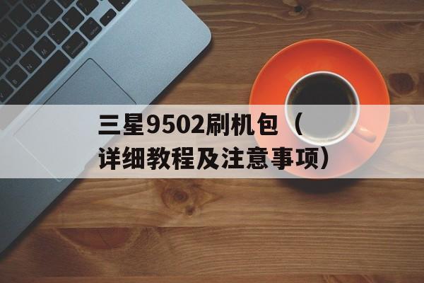 三星9502刷机包（详细教程及注意事项）-第1张图片-居家生活
