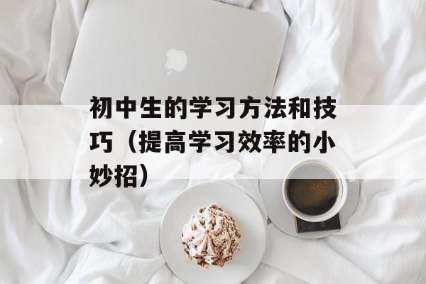 初中生的学习方法和技巧（提高学习效率的小妙招）-第1张图片-居家生活