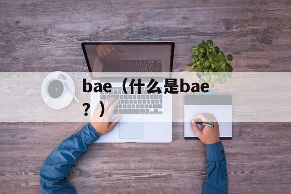 bae（什么是bae？）-第1张图片-居家生活