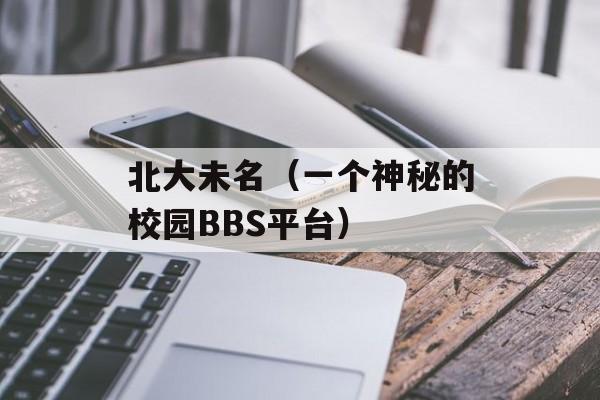 北大未名（一个神秘的校园BBS平台）-第1张图片-居家生活