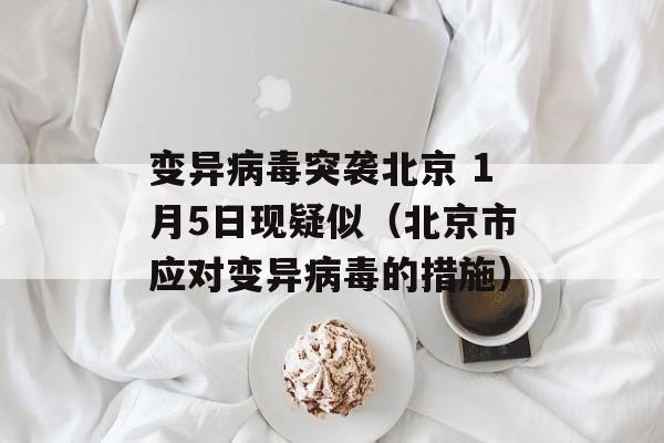 变异病毒突袭北京 1月5日现疑似（北京市应对变异病毒的措施）-第1张图片-居家生活