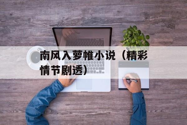 南风入萝帷小说（精彩情节剧透）-第1张图片-居家生活