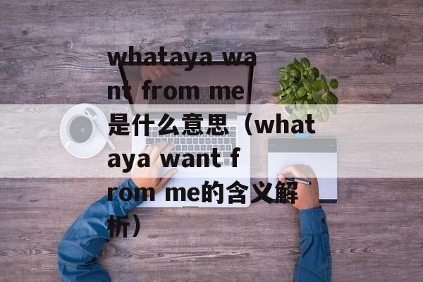 whataya want from me是什么意思（whataya want from me的含义解析）-第1张图片-居家生活