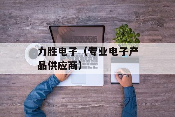 力胜电子（专业电子产品供应商）-第1张图片-居家生活