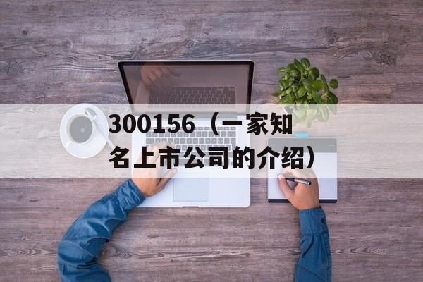 300156（一家知名上市公司的介绍）-第1张图片-居家生活