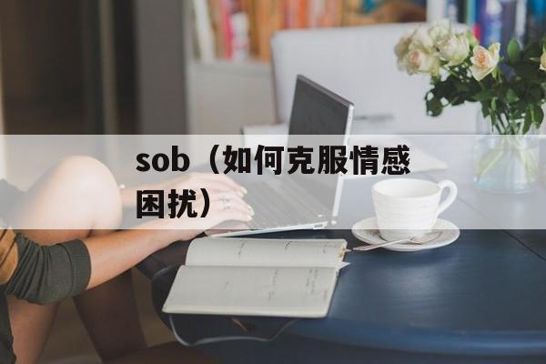 sob（如何克服情感困扰）-第1张图片-居家生活