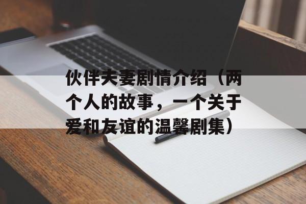 伙伴夫妻剧情介绍（两个人的故事，一个关于爱和友谊的温馨剧集）-第1张图片-居家生活