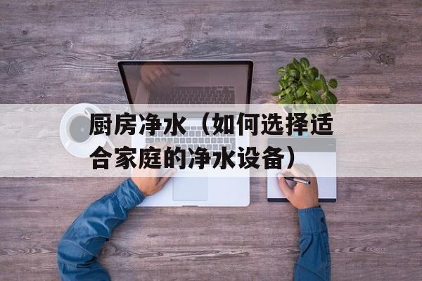 厨房净水（如何选择适合家庭的净水设备）-第1张图片-居家生活