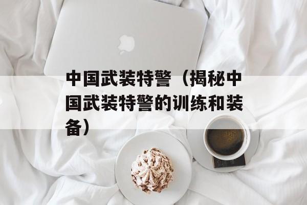 中国武装特警（揭秘中国武装特警的训练和装备）-第1张图片-居家生活