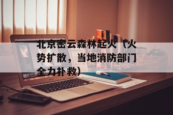 北京密云森林起火（火势扩散，当地消防部门全力扑救）-第1张图片-居家生活