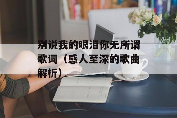 别说我的眼泪你无所谓歌词（感人至深的歌曲解析）-第1张图片-居家生活