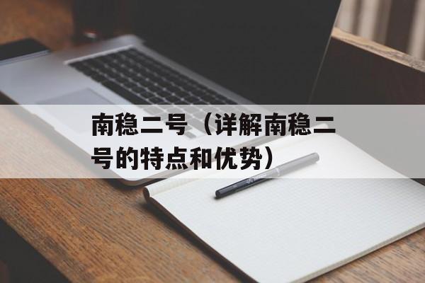 南稳二号（详解南稳二号的特点和优势）-第1张图片-居家生活