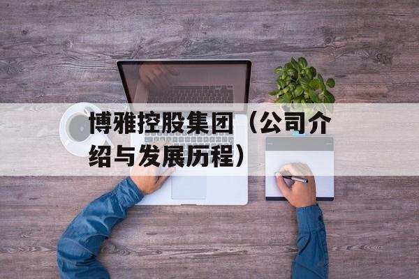 博雅控股集团（公司介绍与发展历程）-第1张图片-居家生活