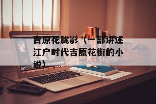 吉原花胧影（一部讲述江户时代吉原花街的小说）-第1张图片-居家生活