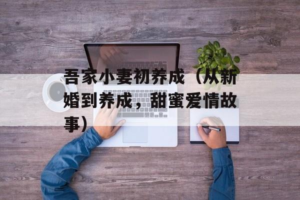 吾家小妻初养成（从新婚到养成，甜蜜爱情故事）-第1张图片-居家生活