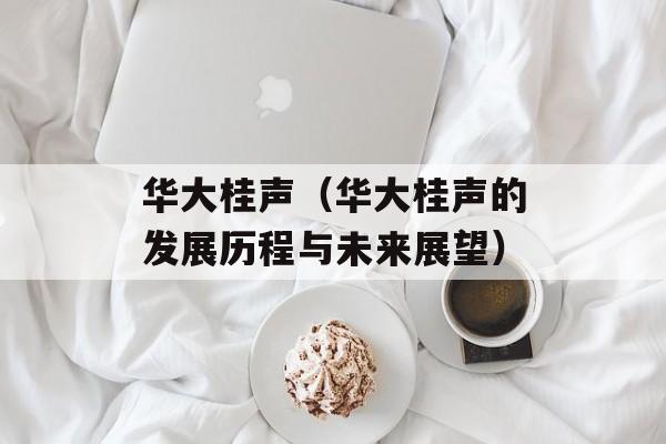 华大桂声（华大桂声的发展历程与未来展望）-第1张图片-居家生活