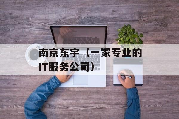 南京东宇（一家专业的IT服务公司）-第1张图片-居家生活