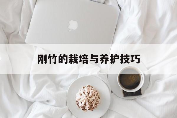 刚竹的栽培与养护技巧-第1张图片-居家生活