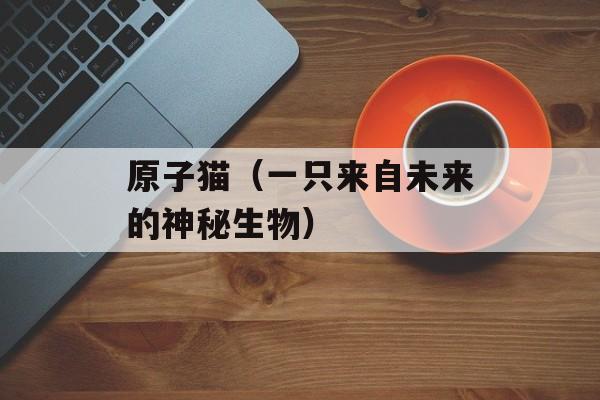 原子猫（一只来自未来的神秘生物）-第1张图片-居家生活