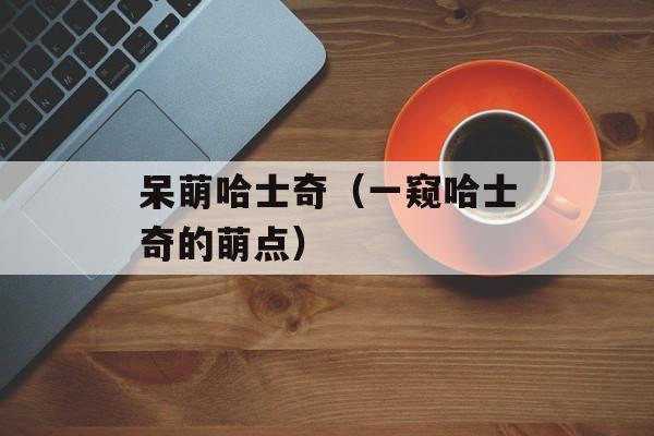 呆萌哈士奇（一窥哈士奇的萌点）-第1张图片-居家生活