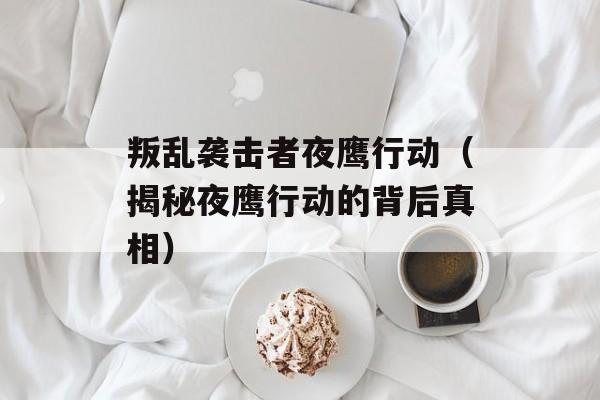 叛乱袭击者夜鹰行动（揭秘夜鹰行动的背后真相）-第1张图片-居家生活