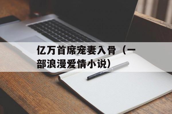 亿万首席宠妻入骨（一部浪漫爱情小说）-第1张图片-居家生活