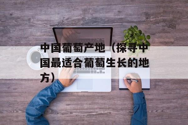中国葡萄产地（探寻中国最适合葡萄生长的地方）-第1张图片-居家生活