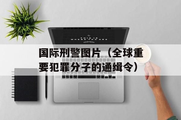 国际刑警图片（全球重要犯罪分子的通缉令）-第1张图片-居家生活