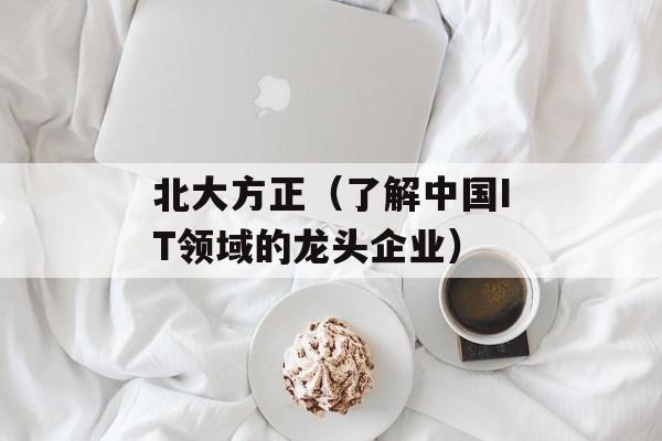 北大方正（了解中国IT领域的龙头企业）-第1张图片-居家生活